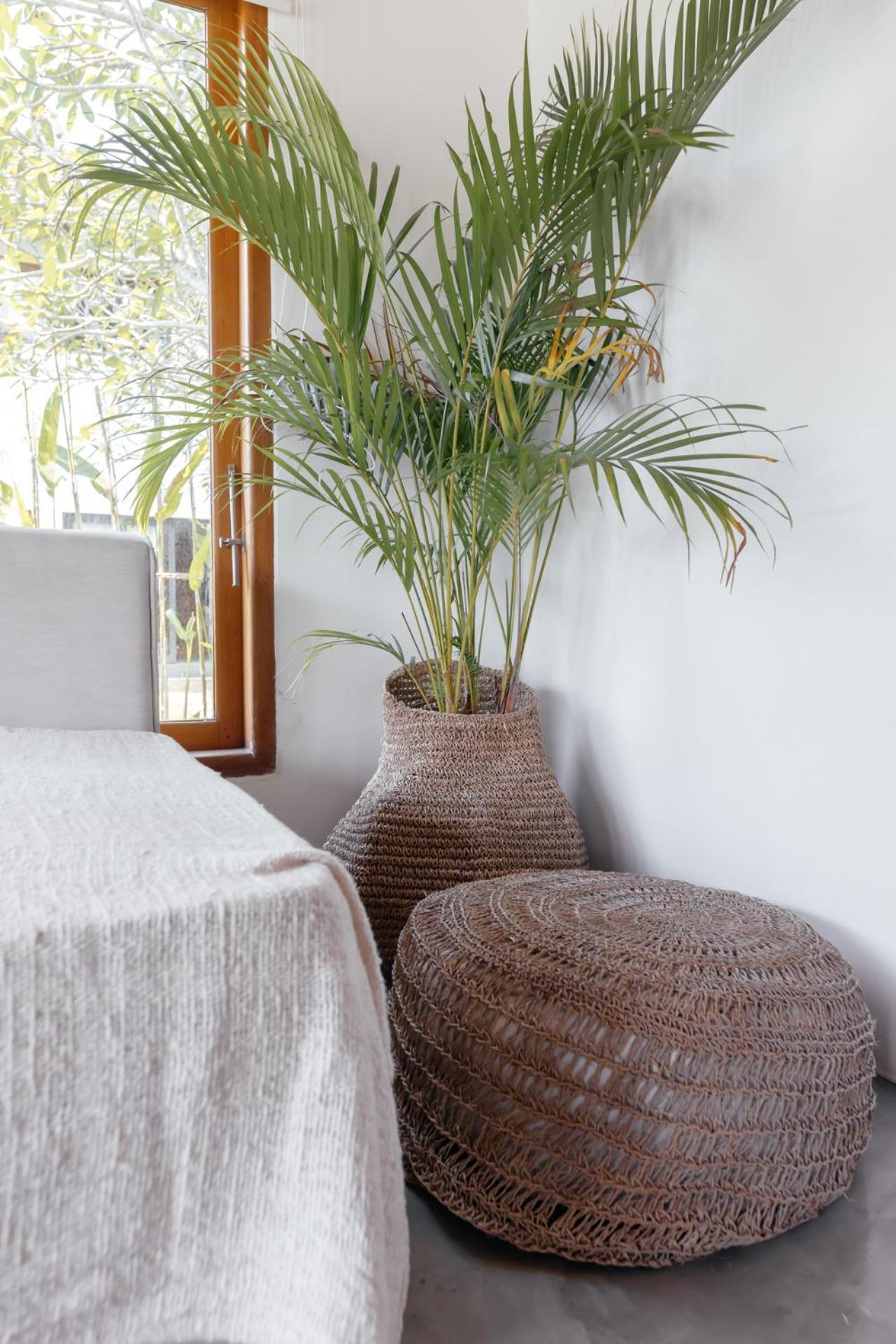 Hola Villas & Lofts Uluwatu מראה חיצוני תמונה